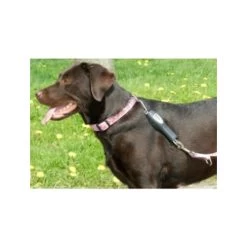 PatentoPet Dog E-walk Basic 7 PatentoPet Dog E-walk Basic -Happy Paws Verkoop patentopet dog e walk basic 219310 0500 none