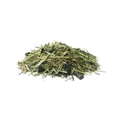 Pavo DailyPlus -Happy Paws Verkoop pavo dailyplus 198368 0500 none