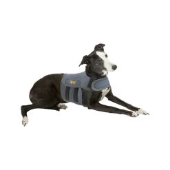 Petlife KarmaWrap Hond -Happy Paws Verkoop petlife karmawrap hond 154186 1000 none