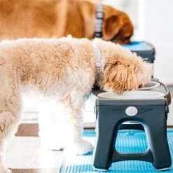 Popware Adjustable Height Pet Feeder 21 Popware Adjustable Height Pet Feeder -Happy Paws Verkoop popware adjustable height pet feeder 164587 2000 none