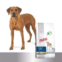 Prins ProCare Croque Super Performance 12 Prins ProCare Croque Super Performance -Happy Paws Verkoop prins procare croque super performance 171379 1500 none