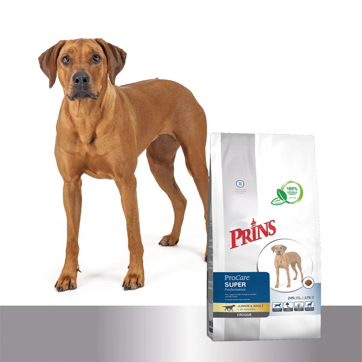 Prins ProCare Croque Super Performance 4 Prins ProCare Croque Super Performance - Afbeelding 4