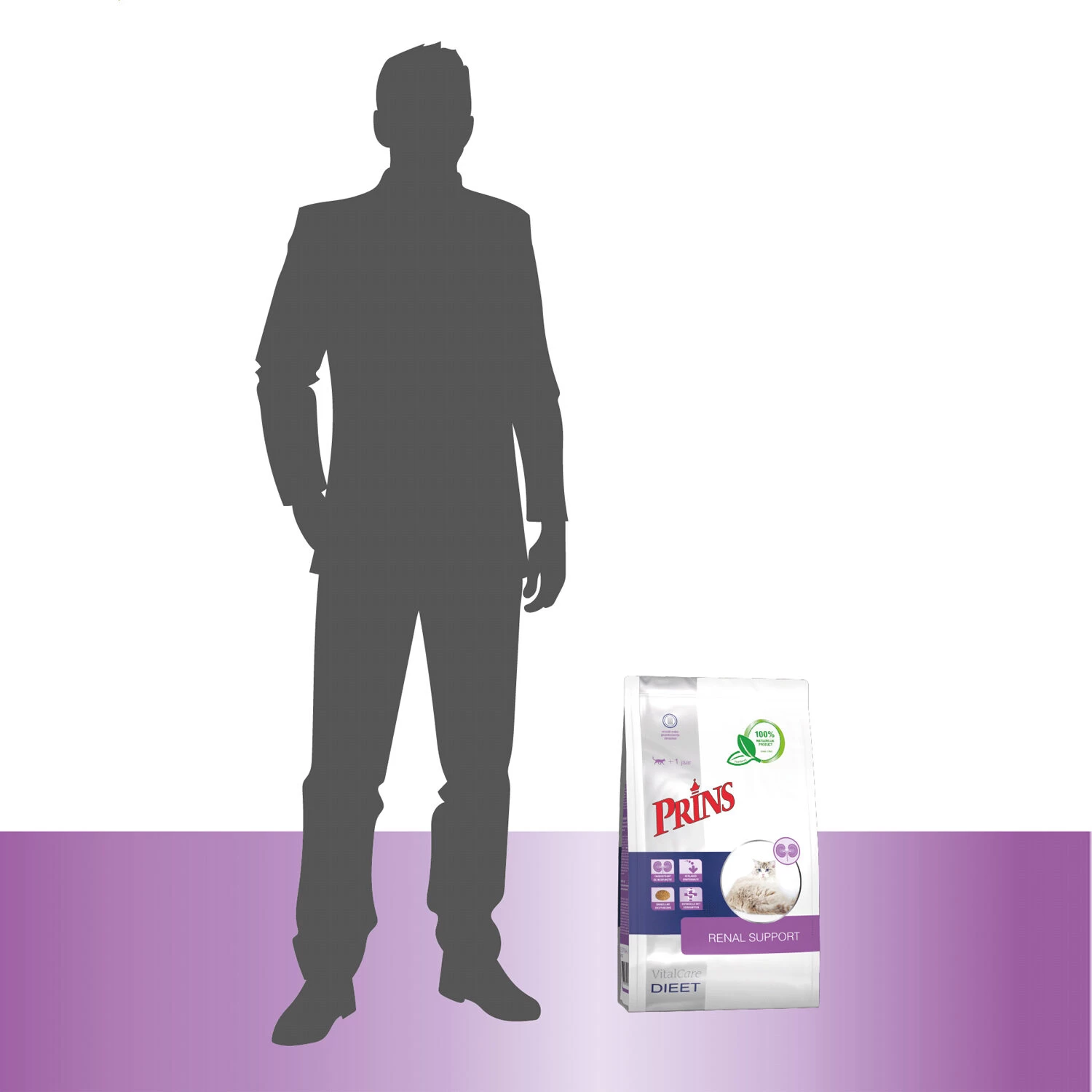 Prins VitalCare Renal Support 7 Prins VitalCare Renal Support - Afbeelding 7