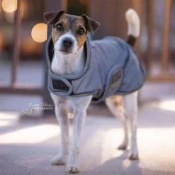 Kentucky Dog Coat Reflective & Waterrepellent 19 Kentucky Dog Coat Reflective & Waterrepellent -Happy Paws Verkoop prod 15746 219014 0500 none