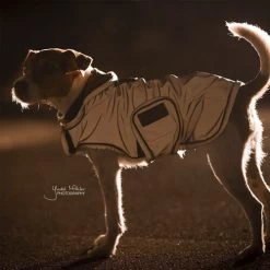 Kentucky Dog Coat Reflective & Waterrepellent 21 Kentucky Dog Coat Reflective & Waterrepellent -Happy Paws Verkoop prod 15746 219015 0500 none