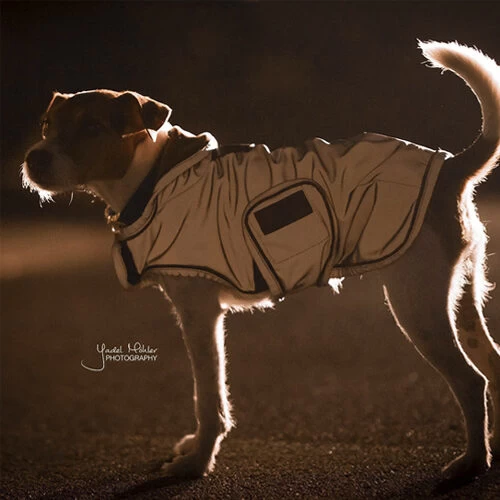 Kentucky Dog Coat Reflective & Waterrepellent 11 Kentucky Dog Coat Reflective & Waterrepellent - Afbeelding 11