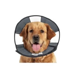 ZenPet Zen Collar -Happy Paws Verkoop prod 5332 89025 0500 none