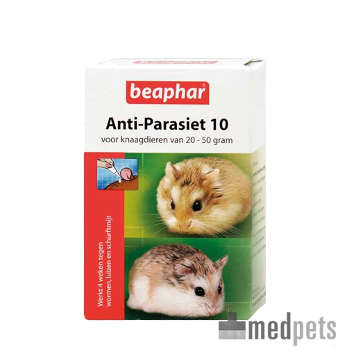 ECOstyle Colosan Darmolie - Afbeelding 2