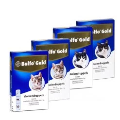 Bolfo Gold Kat 14 Bolfo Gold Kat -Happy Paws Verkoop product bolfo gold kat none 4 1467098417 70443