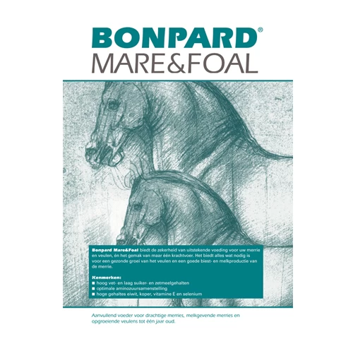Bonpard Mare & Foal 2 Bonpard Mare & Foal - Afbeelding 2