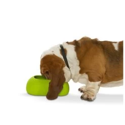 Buster Incredibowl -Happy Paws Verkoop product buster incredibowl none 4 1479720007 80827