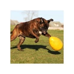 Jolly Egg -Happy Paws Verkoop product jolly egg none 4 1496839893 86965