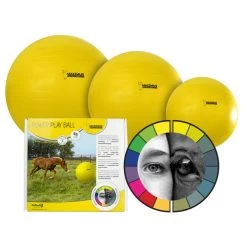 Maximus Power Play Ball -Happy Paws Verkoop product maximus power play ball none 4 1478076927 79606