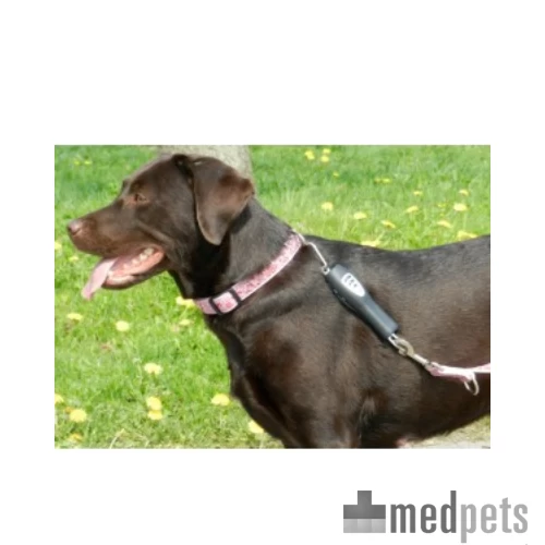 PatentoPet Dog E-walk Basic 2 PatentoPet Dog E-walk Basic - Afbeelding 2