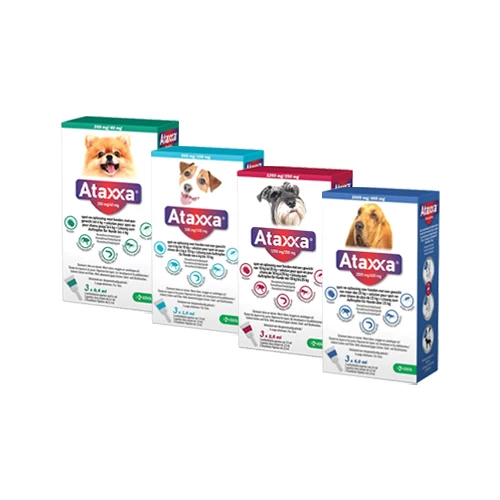 Ataxxa 10 Ataxxa - Afbeelding 10