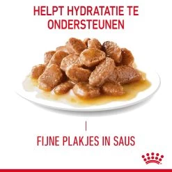 Royal Canin Digestive Care In Gravy - Kattenvoer 17 Royal Canin Digestive Care In Gravy - Kattenvoer -Happy Paws Verkoop rUL1NOqw0a3UObo7KF304Pj5p1XkPe metaUm95YWwtQ2FuaW4tSGFpcmJhbGwtQ2FyZS1pbi1HcmF2eV8wMS5qcGc