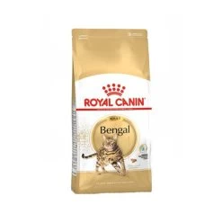 Royal Canin Adult Bengal - Kattenvoer 13 Royal Canin Adult Bengal - Kattenvoer -Happy Paws Verkoop royal canin adult bengal kattenvoer 174517 0500 none