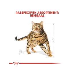 Royal Canin Adult Bengal - Kattenvoer 14 Royal Canin Adult Bengal - Kattenvoer -Happy Paws Verkoop royal canin adult bengal kattenvoer 175525 1000 none
