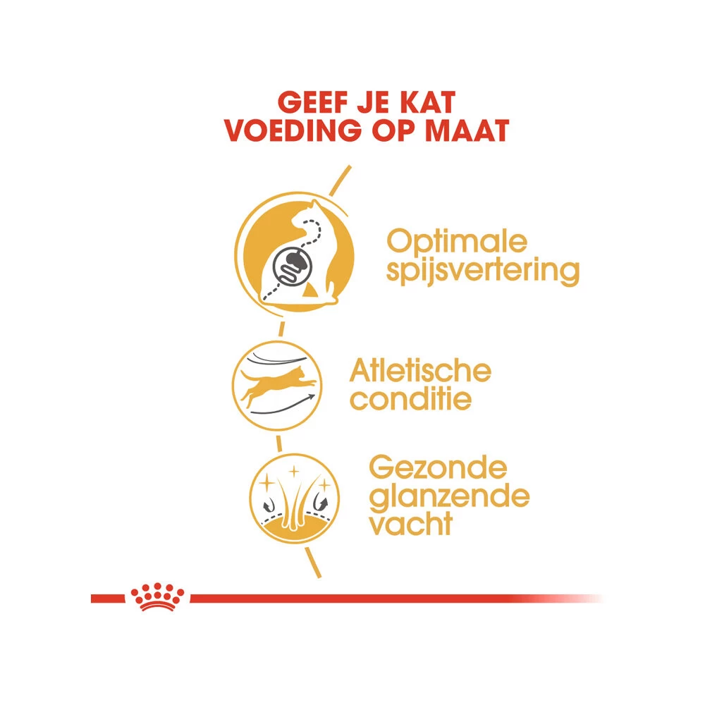 Royal Canin Adult Bengal - Kattenvoer 7 Royal Canin Adult Bengal - Kattenvoer - Afbeelding 7