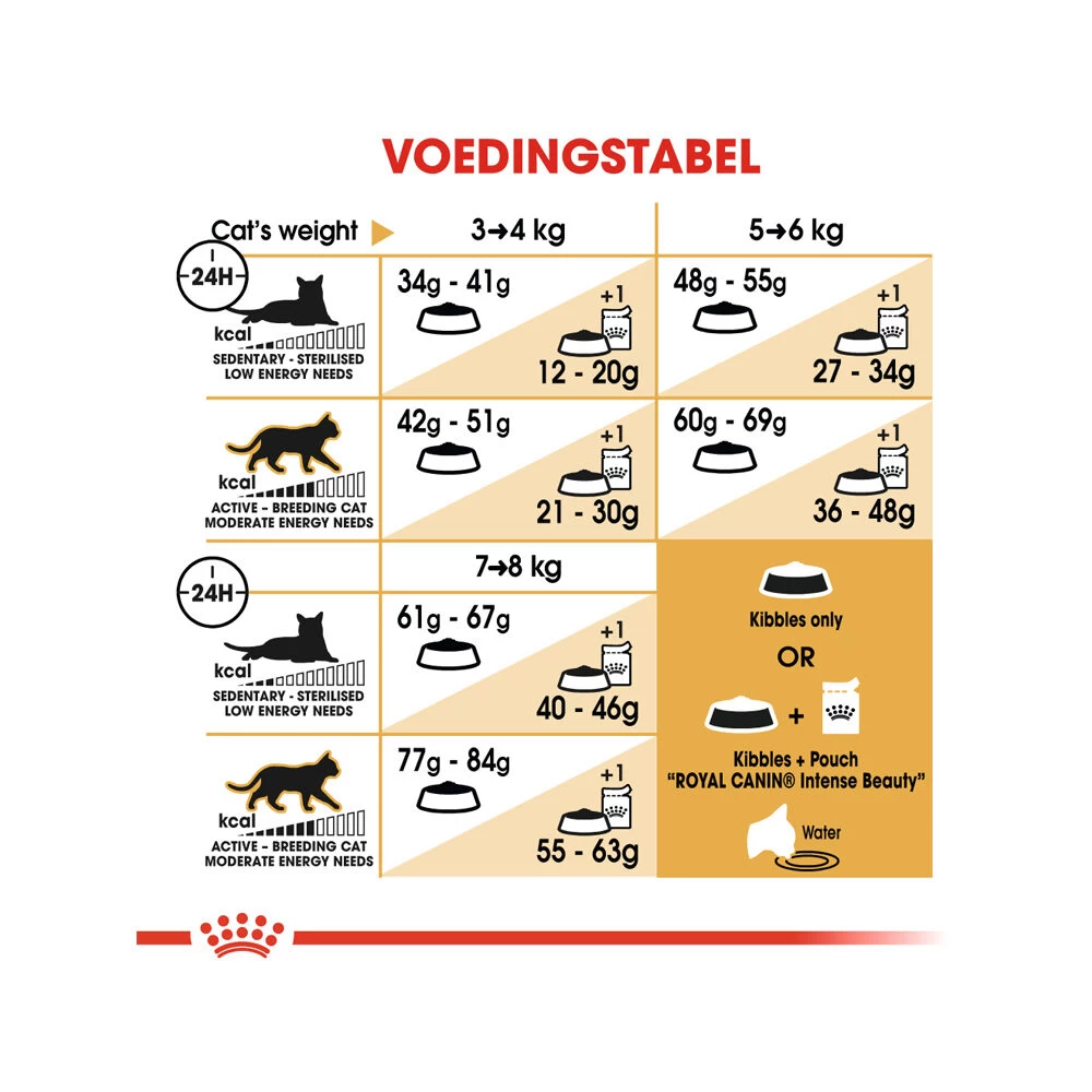 Royal Canin Adult Bengal - Kattenvoer 10 Royal Canin Adult Bengal - Kattenvoer - Afbeelding 10