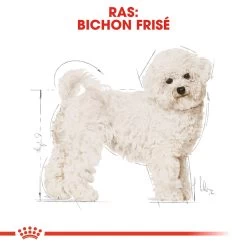 Royal Canin Bichon Frisé Adult - Hondenvoer 11 Royal Canin Bichon Frisé Adult - Hondenvoer -Happy Paws Verkoop royal canin bichon fris adult hondenvoer 137359 1000 none
