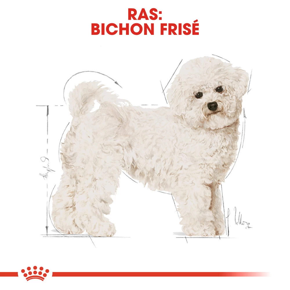 Royal Canin Bichon Frisé Adult - Hondenvoer 4 Royal Canin Bichon Frisé Adult - Hondenvoer - Afbeelding 4