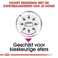Royal Canin Exigent Wet - Hondenvoer 14 Royal Canin Exigent Wet - Hondenvoer -Happy Paws Verkoop royal canin exigent wet hondenvoer 131888 1000 none