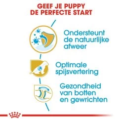 Royal Canin German Shepherd Puppy- Hondenvoer 16 Royal Canin German Shepherd Puppy- Hondenvoer -Happy Paws Verkoop royal canin german shepherd puppy hondenvoer 138835 1000 none
