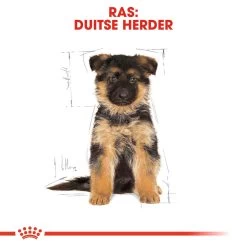 Royal Canin German Shepherd Puppy- Hondenvoer 18 Royal Canin German Shepherd Puppy- Hondenvoer -Happy Paws Verkoop royal canin german shepherd puppy hondenvoer 138844 1000 none