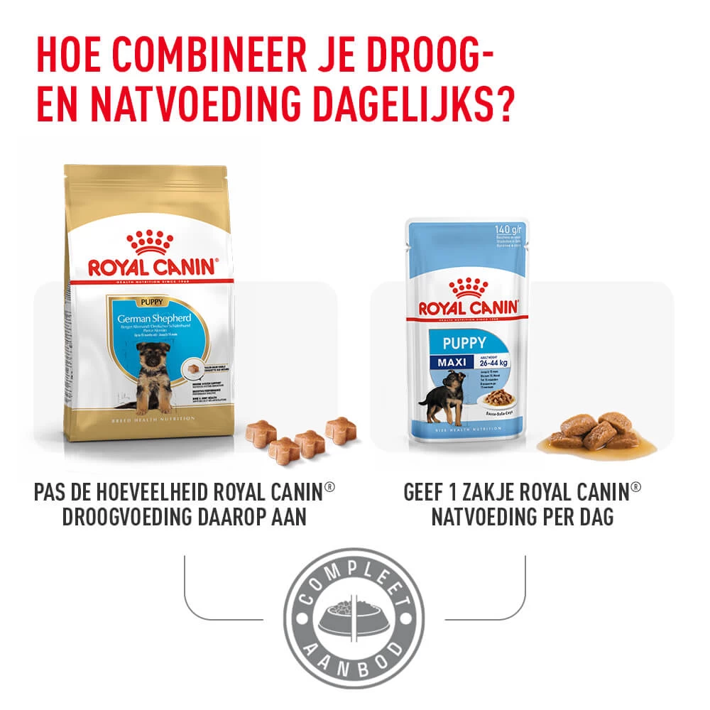 Royal Canin German Shepherd Puppy- Hondenvoer 4 Royal Canin German Shepherd Puppy- Hondenvoer - Afbeelding 4
