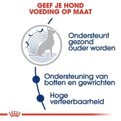 Royal Canin Maxi Ageing 8+ - Hondenvoer -Happy Paws Verkoop royal canin maxi ageing 8 hondenvoer 128711 1000 none