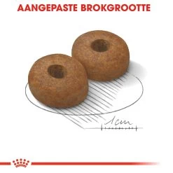 Royal Canin Maxi Ageing 8+ - Hondenvoer -Happy Paws Verkoop royal canin maxi ageing 8 hondenvoer 128720 1000 none