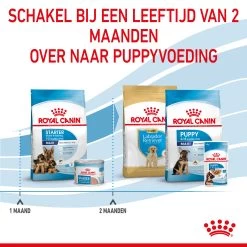 Royal Canin Maxi Starter Mother & Babydog - Hondenvoer -Happy Paws Verkoop royal canin maxi starter mother babydog hondenvoer 206849 2000 none