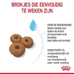 Royal Canin Maxi Starter Mother & Babydog - Hondenvoer -Happy Paws Verkoop royal canin maxi starter mother babydog hondenvoer 206852 2000 none