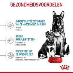 Royal Canin Maxi Starter Mother & Babydog - Hondenvoer -Happy Paws Verkoop royal canin maxi starter mother babydog hondenvoer 206855 2000 none