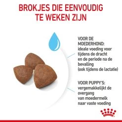 Royal Canin Medium Starter Mother & Babydog - Hondenvoer 17 Royal Canin Medium Starter Mother & Babydog - Hondenvoer -Happy Paws Verkoop royal canin medium starter mother babydog hondenvoer 206912 2000 none
