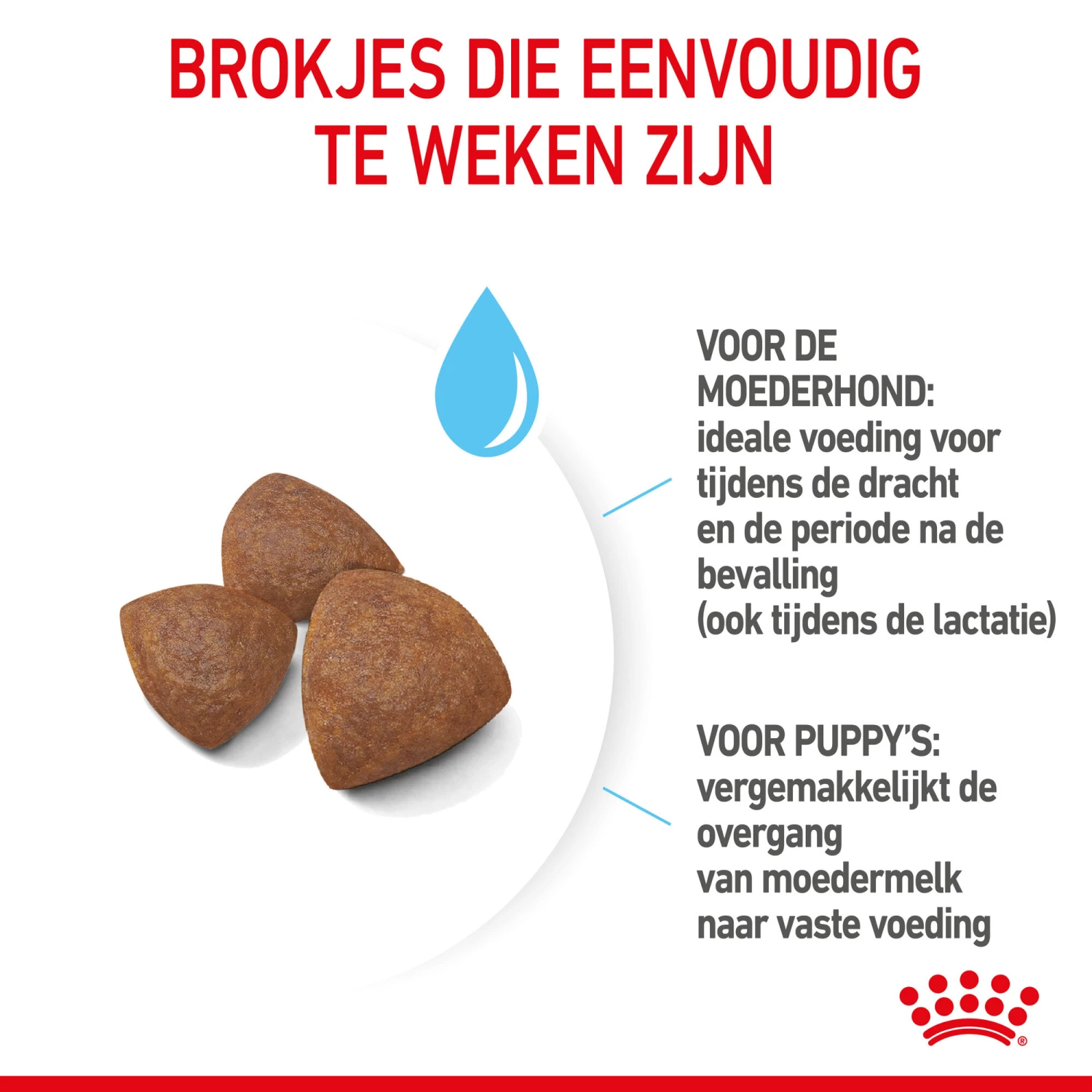 Royal Canin Medium Starter Mother & Babydog - Hondenvoer 7 Royal Canin Medium Starter Mother & Babydog - Hondenvoer - Afbeelding 7