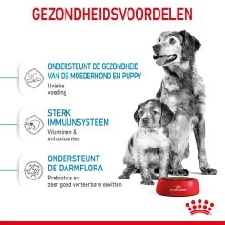Royal Canin Medium Starter Mother & Babydog - Hondenvoer 16 Royal Canin Medium Starter Mother & Babydog - Hondenvoer -Happy Paws Verkoop royal canin medium starter mother babydog hondenvoer 206915 2000 none