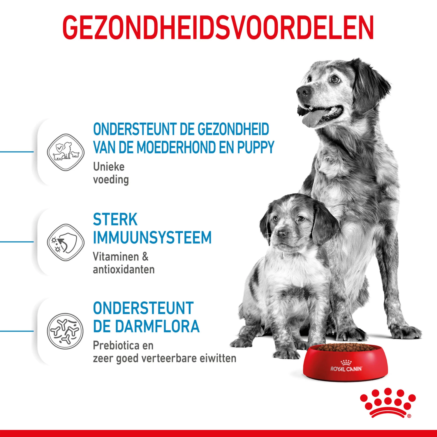 Royal Canin Medium Starter Mother & Babydog - Hondenvoer 6 Royal Canin Medium Starter Mother & Babydog - Hondenvoer - Afbeelding 6