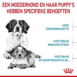 Royal Canin Medium Starter Mother & Babydog - Hondenvoer 15 Royal Canin Medium Starter Mother & Babydog - Hondenvoer -Happy Paws Verkoop royal canin medium starter mother babydog hondenvoer 206918 2000 none