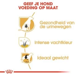 Royal Canin Mini Schnauzer Adult - Hondenvoer -Happy Paws Verkoop royal canin mini schnauzer adult hondenvoer 140098 1000 none
