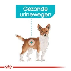 Royal Canin Urinary Care Wet - Hondenvoer -Happy Paws Verkoop royal canin urinary care wet hondenvoer 131930 1000 none