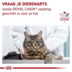 Royal Canin Urinary S/O Kat - Maaltijdzakje -Happy Paws Verkoop royal canin urinary so kat 153625 1000 none