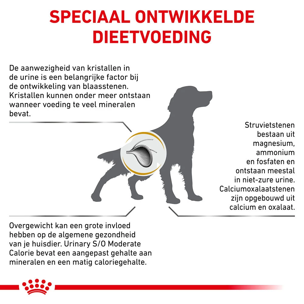Royal Canin Urinary S/O Moderate Calorie Hond - Afbeelding 8