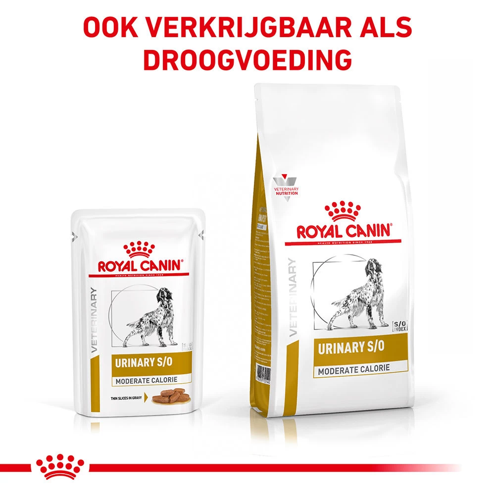 Royal Canin Urinary S/O Moderate Calorie Wet Hond - Afbeelding 5