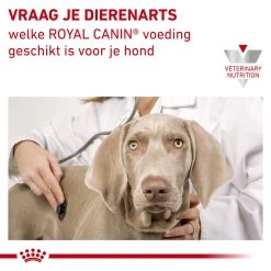 Royal Canin Urinary S/O Moderate Calorie Wet Hond -Happy Paws Verkoop royal canin urinary so moderate calorie wet hond 153301 1000 none
