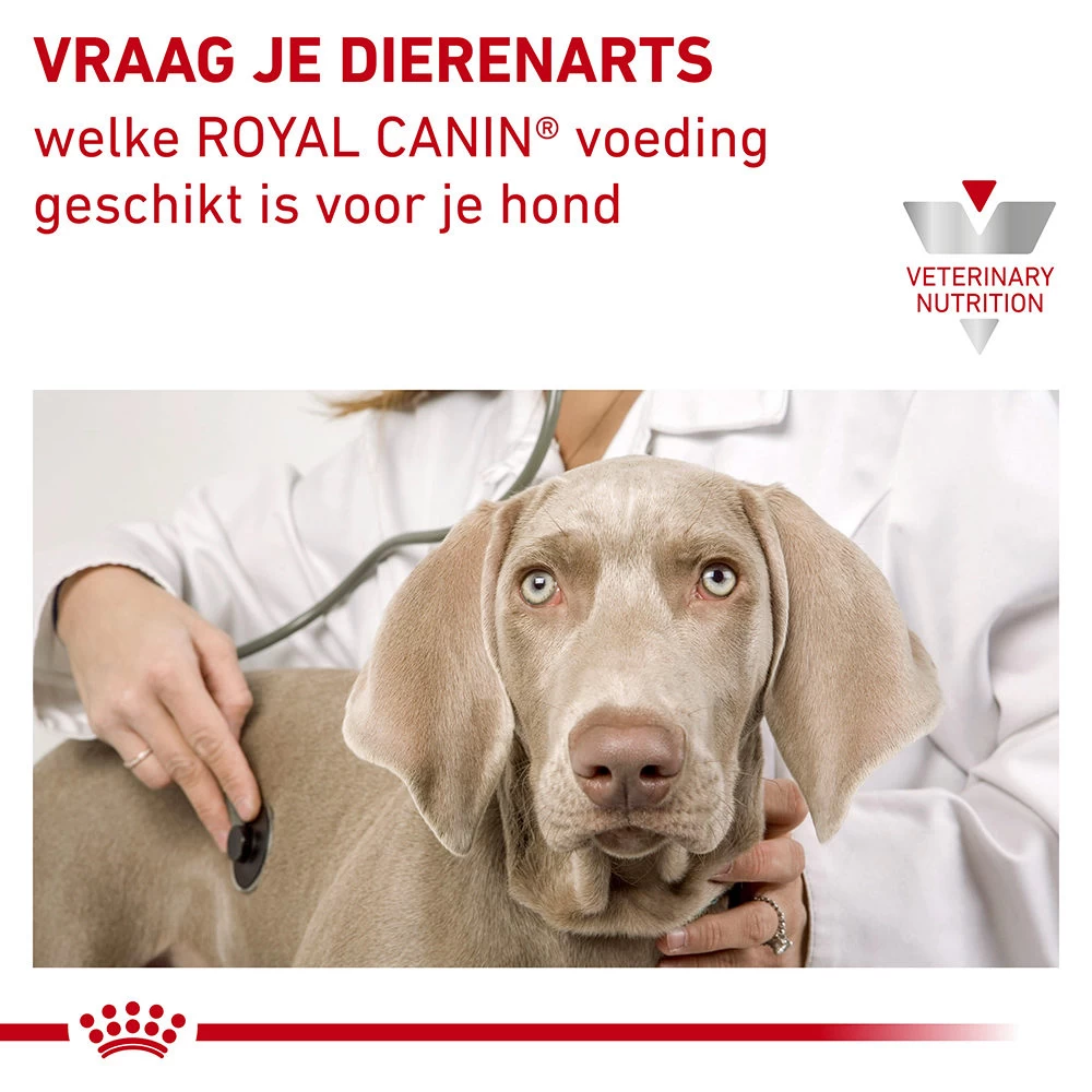 Royal Canin Urinary S/O Moderate Calorie Wet Hond - Afbeelding 8