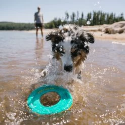 Ruffwear Hydro Plane Floating Throw Toy -Happy Paws Verkoop ruffwear hydro plane floating throw toy 200822 2000 none