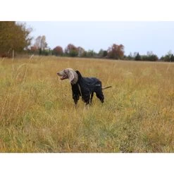 RukkaPets Protect Overall Zwart 27 RukkaPets Protect Overall Zwart -Happy Paws Verkoop rukkapets protect overall zwart 216401 2000 none