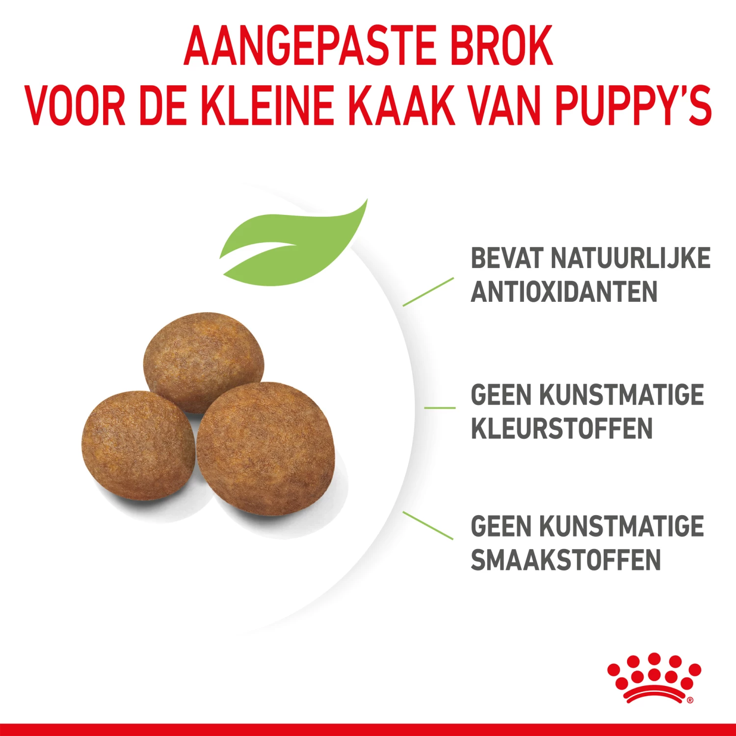 Royal Canin Giant Puppy - Hondenvoer 7 Royal Canin Giant Puppy - Hondenvoer - Afbeelding 7